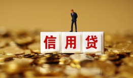 成都2哪有个人借贷-成都2小额贷款公司-成都2私借空放免费上门